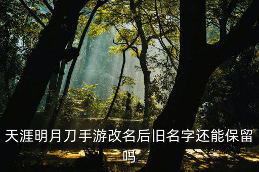 天涯明月刀手游改名后旧名字还能保留吗