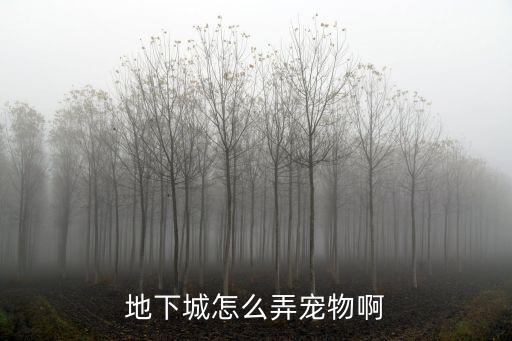 手游地下城韩服史诗宠物怎么合成，地下城的宠物怎么弄