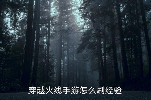 穿越火线手游怎么刷经验