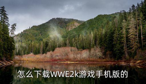 怎么下载WWE2k游戏手机版的