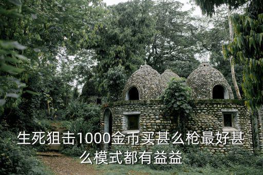 生死狙击1000金币买甚么枪最好甚么模式都有益益