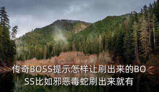 传奇BOSS提示怎样让刷出来的BOSS比如邪恶毒蛇刷出来就有