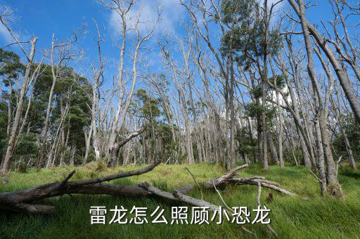 雷龙怎么照顾小恐龙