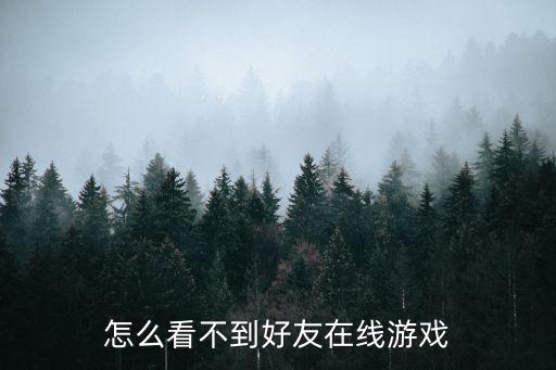 怎么看不到好友在线游戏