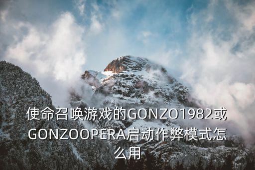 使命召唤游戏的GONZO1982或GONZOOPERA启动作弊模式怎么用