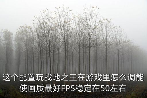 这个配置玩战地之王在游戏里怎么调能使画质最好FPS稳定在50左右