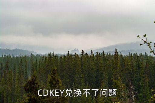 CDKEY兑换不了问题