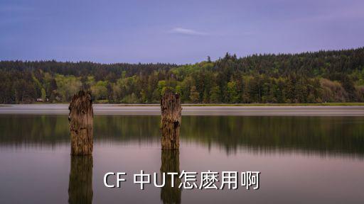 CF 中UT怎麽用啊