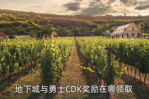 地下城与勇士CDK奖励在哪领取