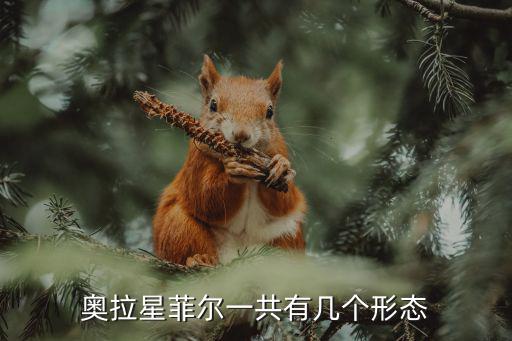 奥拉星菲尔一共有几个形态