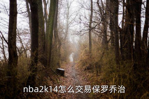 2k20手游太阳怎么交易来保罗，nba2k14怎么交易保罗乔治