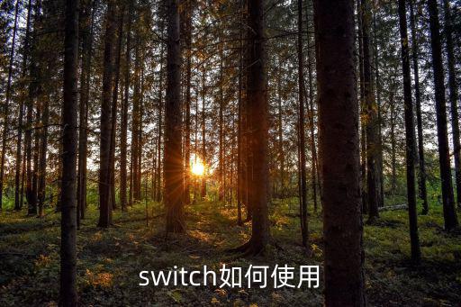 switch如何使用