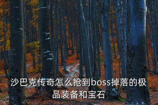 传奇手游boss怎么刷装备，传奇GM怎么刷装备需要什么工具