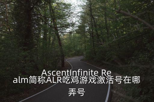 AscentInfinite Realm简称ALR吃鸡游戏激活号在哪弄号