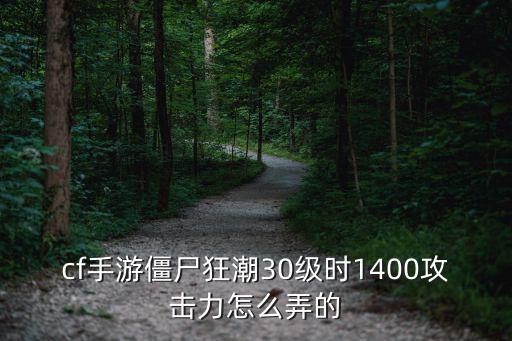 cf手游僵尸狂潮30级时1400攻击力怎么弄的