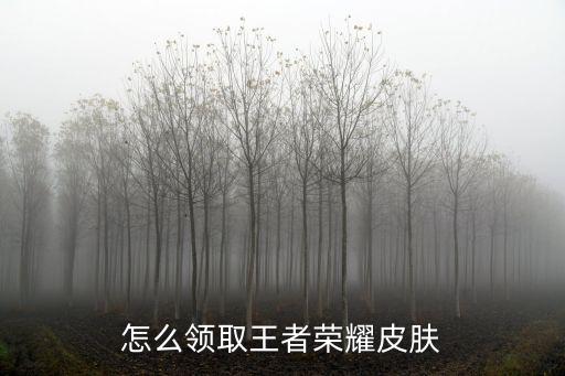 怎么领取王者荣耀皮肤