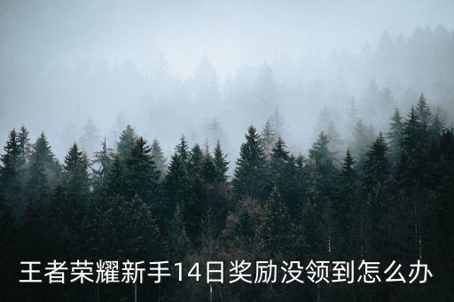 王者荣耀新手14日奖励没领到怎么办