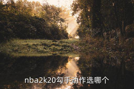 nba2k20勾手动作选哪个