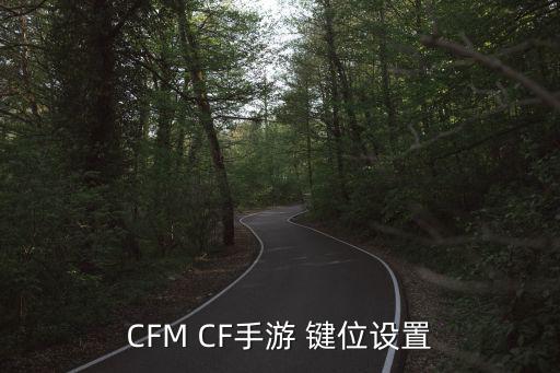 CFM CF手游 键位设置