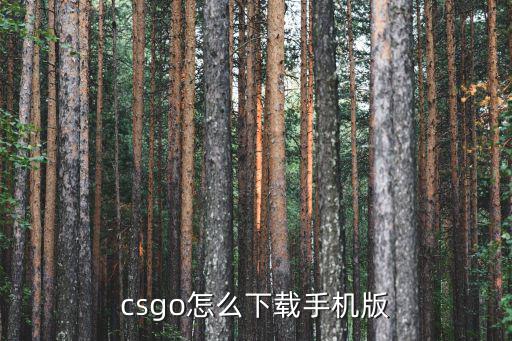 csgo怎么下载手机版