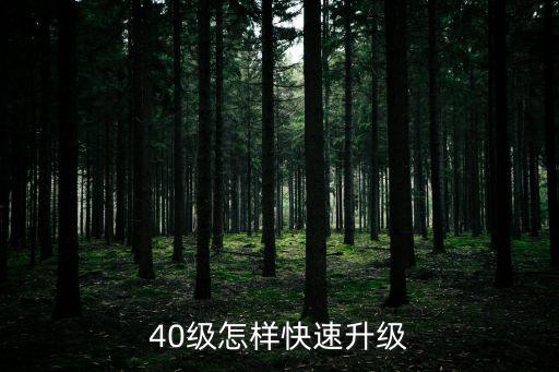 黑色沙漠手游40级怎么快速升级，40级怎样快速升级