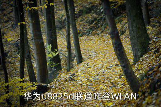 华为u8825d联通咋登WLAN