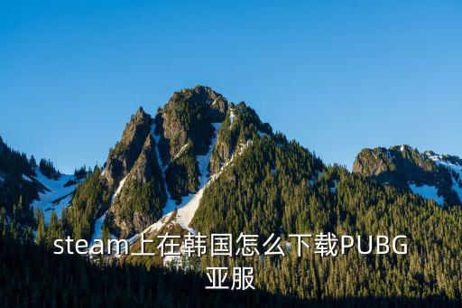 steam上在韩国怎么下载PUBG亚服