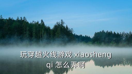 玩穿越火线游戏 xiaoshengqi 怎么弄啊