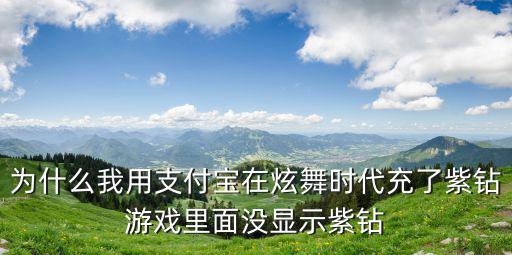 为什么我用支付宝在炫舞时代充了紫钻游戏里面没显示紫钻