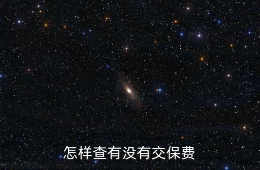 淘手游怎么看卖家有没有投保，淘宝里 买家怎么知道卖家对商品有没有投运费保险呢 在订货单里显示吗