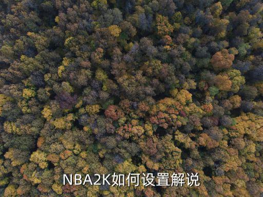 NBA2K如何设置解说