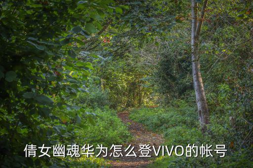 倩女幽魂华为怎么登VIVO的帐号