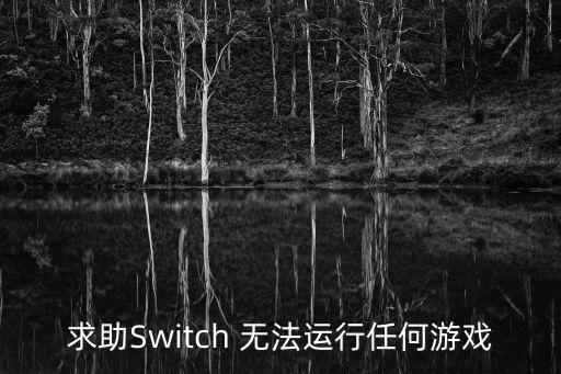 求助Switch 无法运行任何游戏