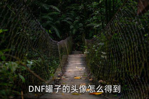 DNF罐子的头像怎么得到