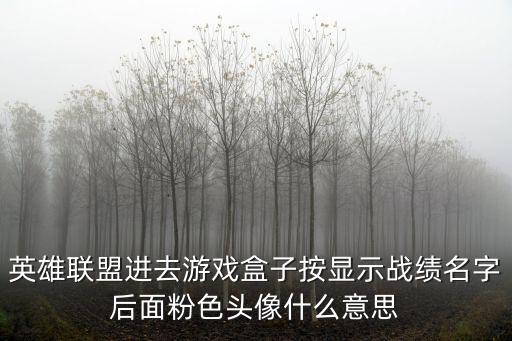 英雄联盟进去游戏盒子按显示战绩名字后面粉色头像什么意思