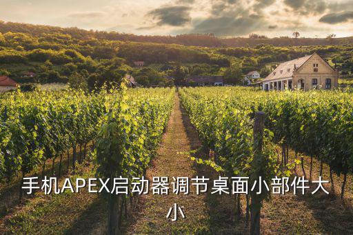 apex手游脚步怎么调大，手机APEX启动器调节桌面小部件大小