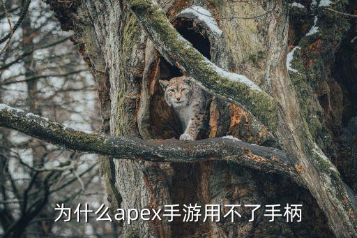 为什么apex手游用不了手柄