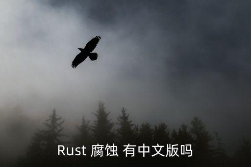 Rust 腐蚀 有中文版吗