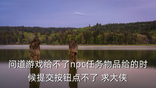 问道游戏给不了npc任务物品给的时候提交按钮点不了 求大侠