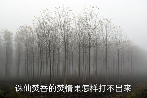 诛仙焚香的焚情果怎样打不出来