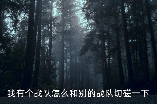 我有个战队怎么和别的战队切磋一下