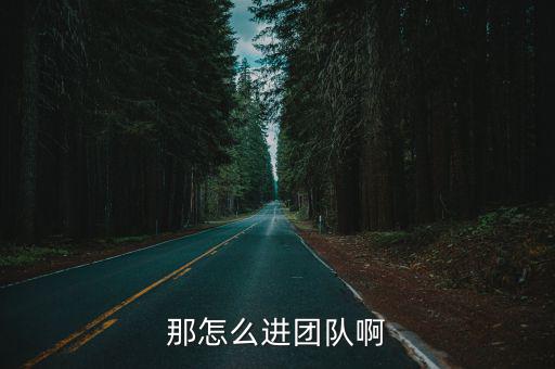 那怎么进团队啊