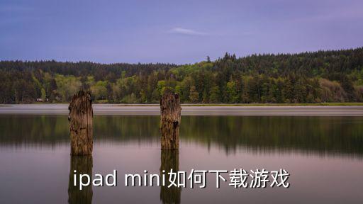 minidays手游怎么下载，ipad mini如何下载游戏