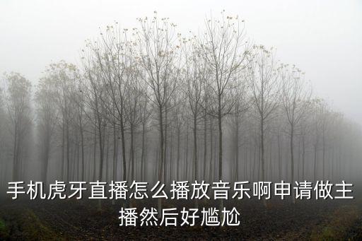 手机虎牙直播怎么播放音乐啊申请做主播然后好尴尬