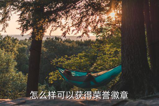 怎么样可以获得荣誉徽章