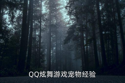 QQ炫舞游戏宠物经验