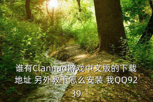 谁有Clannad游戏中文版的下载地址 另外教下怎么安装 我QQ9239