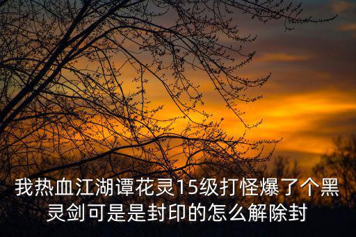 我热血江湖谭花灵15级打怪爆了个黑灵剑可是是封印的怎么解除封