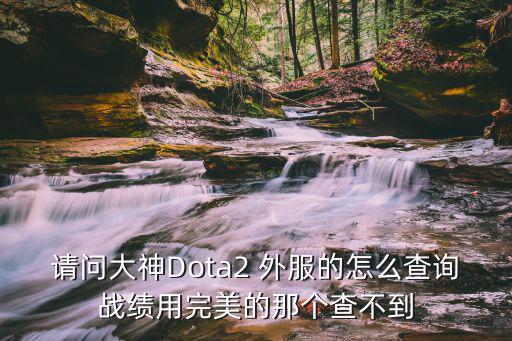 请问大神Dota2 外服的怎么查询战绩用完美的那个查不到