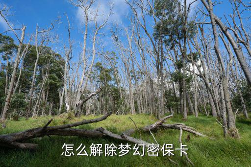 梦幻手游怎么取消密保卡，梦幻如何解除密保卡